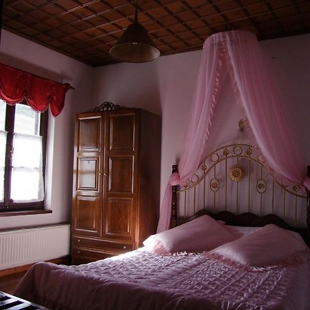 Mansion Theodora Hotel Makrinitsa Exterior photo